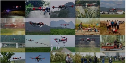 稻田里的无人机 面对农业农村市场,服务与产品哪个重要